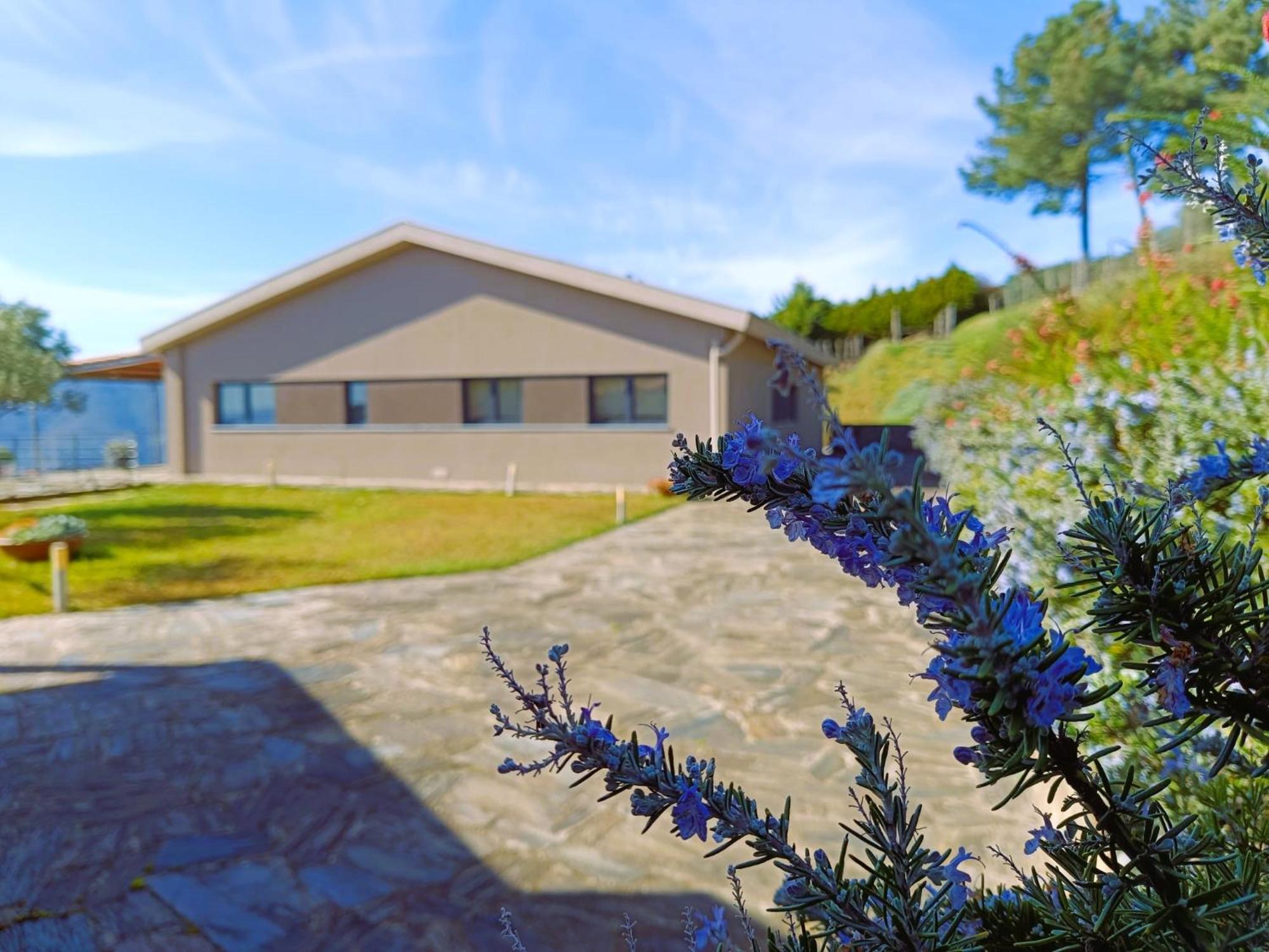 Penzion Quinta Manhas Douro Provesende Exteriér fotografie