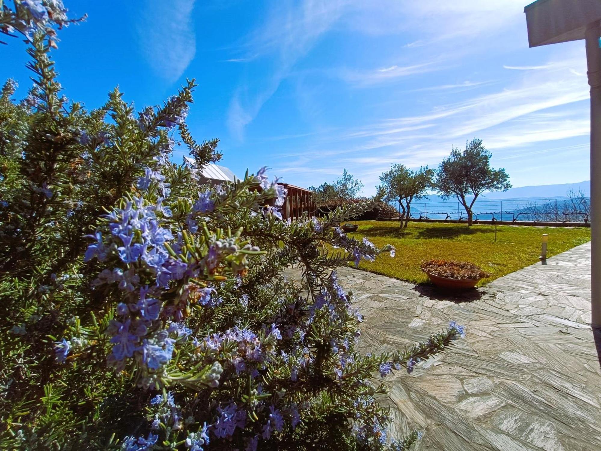 Penzion Quinta Manhas Douro Provesende Exteriér fotografie