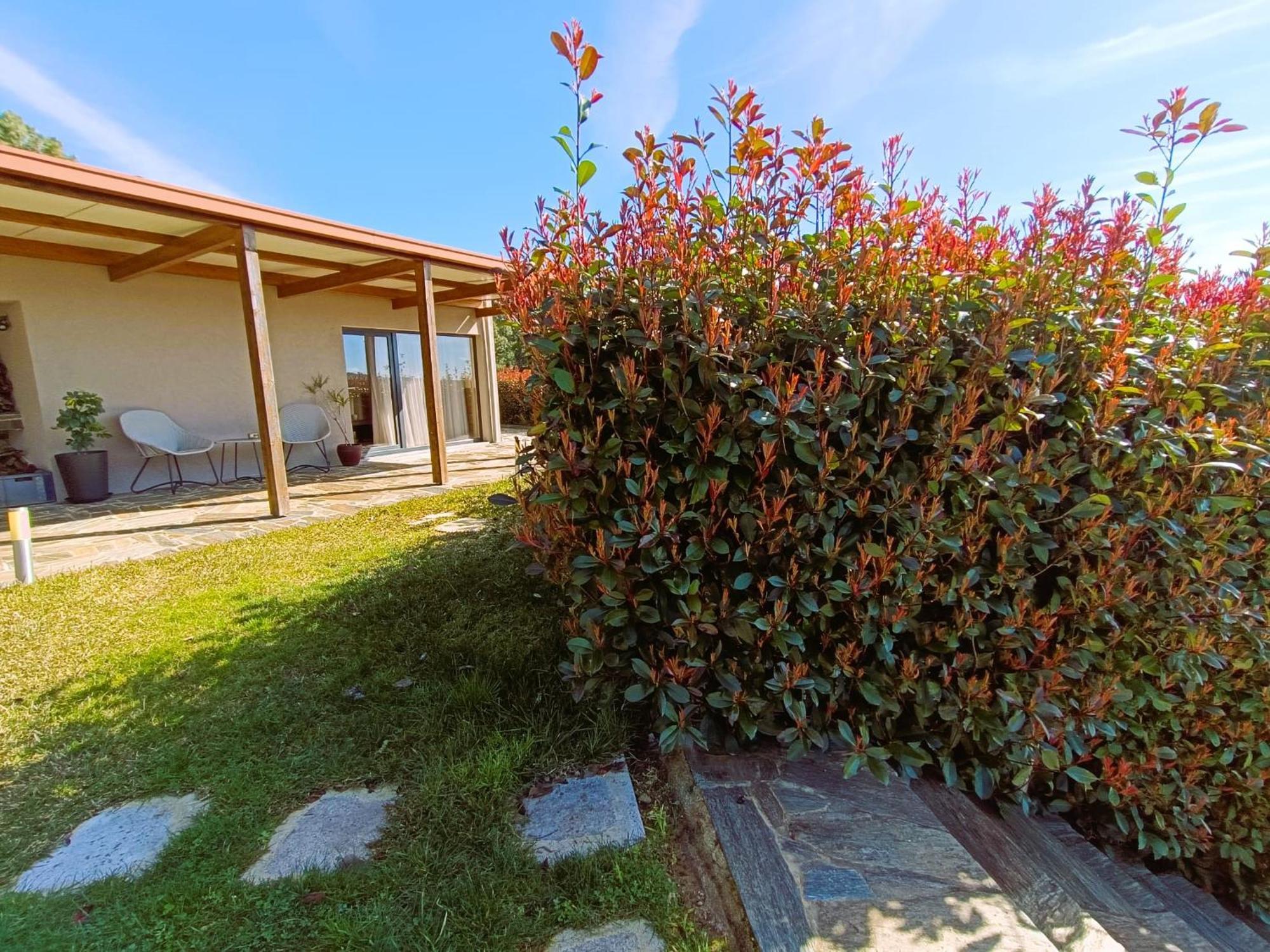 Penzion Quinta Manhas Douro Provesende Exteriér fotografie