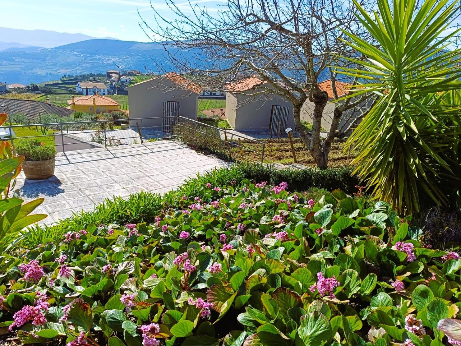 Penzion Quinta Manhas Douro Provesende Exteriér fotografie