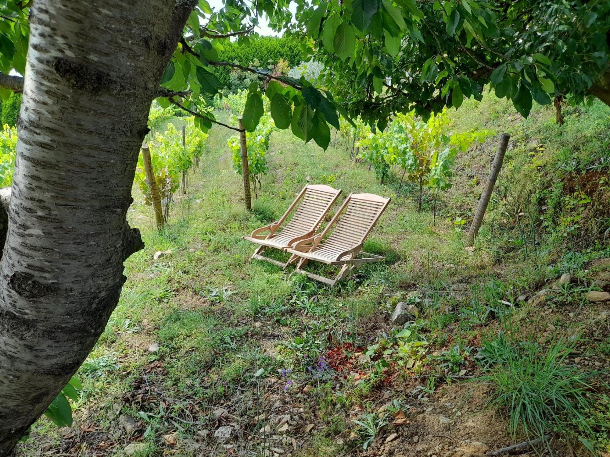 Penzion Quinta Manhas Douro Provesende Exteriér fotografie