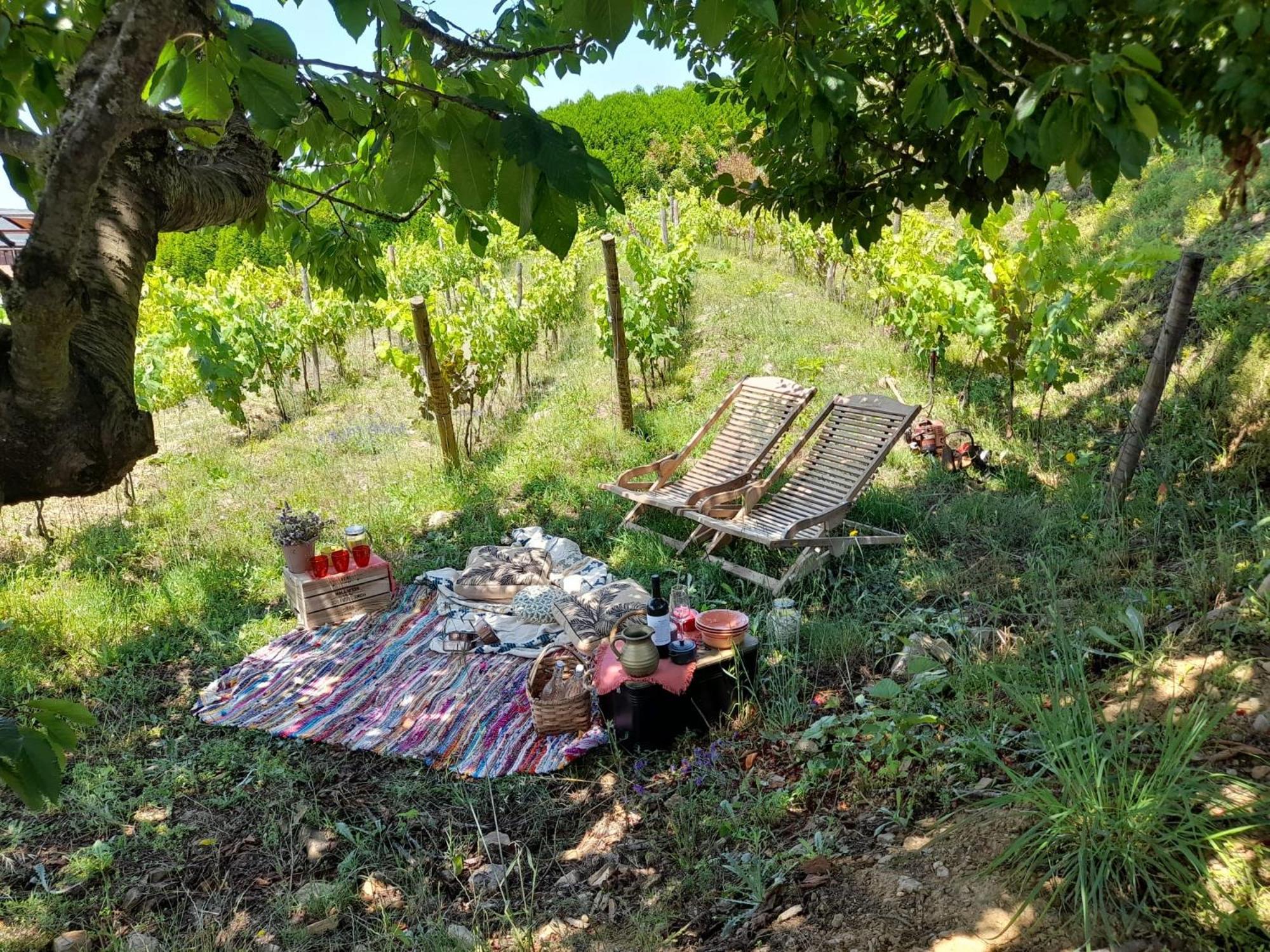 Penzion Quinta Manhas Douro Provesende Exteriér fotografie